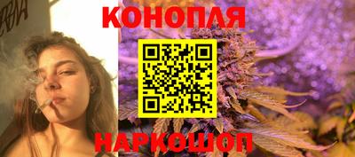 гашик Славгород