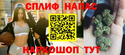 молекула духа Сланцы