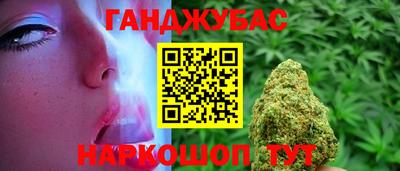 гашик Славгород
