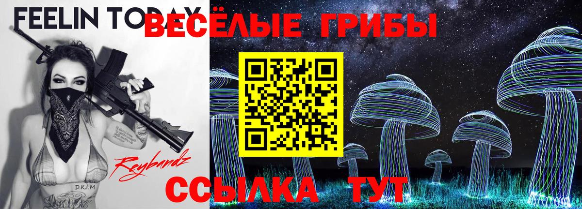 Псилоцибиновые грибы Magic Shrooms  Псилоцибиновые грибы Magic Shrooms  Вход с VPN  Обь 